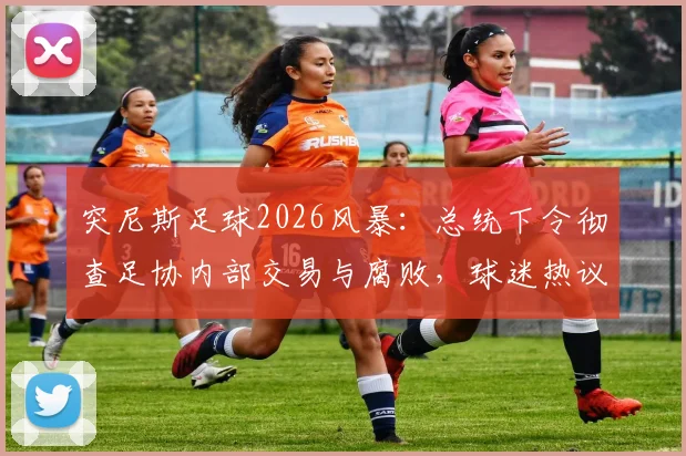 突尼斯足球2026风暴：总统下令彻查足协内部交易与腐败，球迷热议“铁腕肃清”能否见效