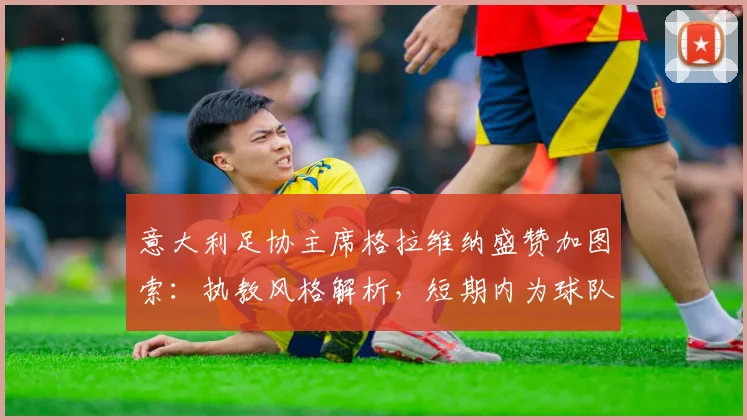 意大利足协主席格拉维纳盛赞加图索：执教风格解析，短期内为球队注入激情的秘诀