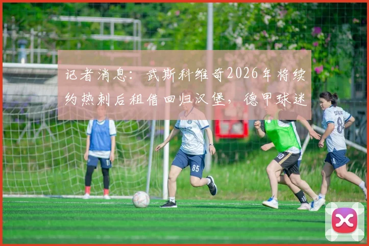 记者消息：武斯科维奇2026年将续约热刺后租借回归汉堡，德甲球迷需了解这五大关键点