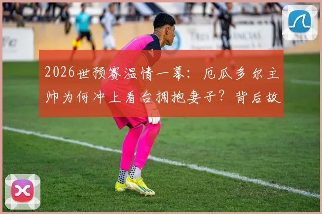 2026世预赛温情一幕：厄瓜多尔主帅为何冲上看台拥抱妻子？背后故事与足球夫妻情感引热议
