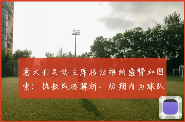 意大利足协主席格拉维纳盛赞加图索：执教风格解析，短期内为球队注入激情的秘诀